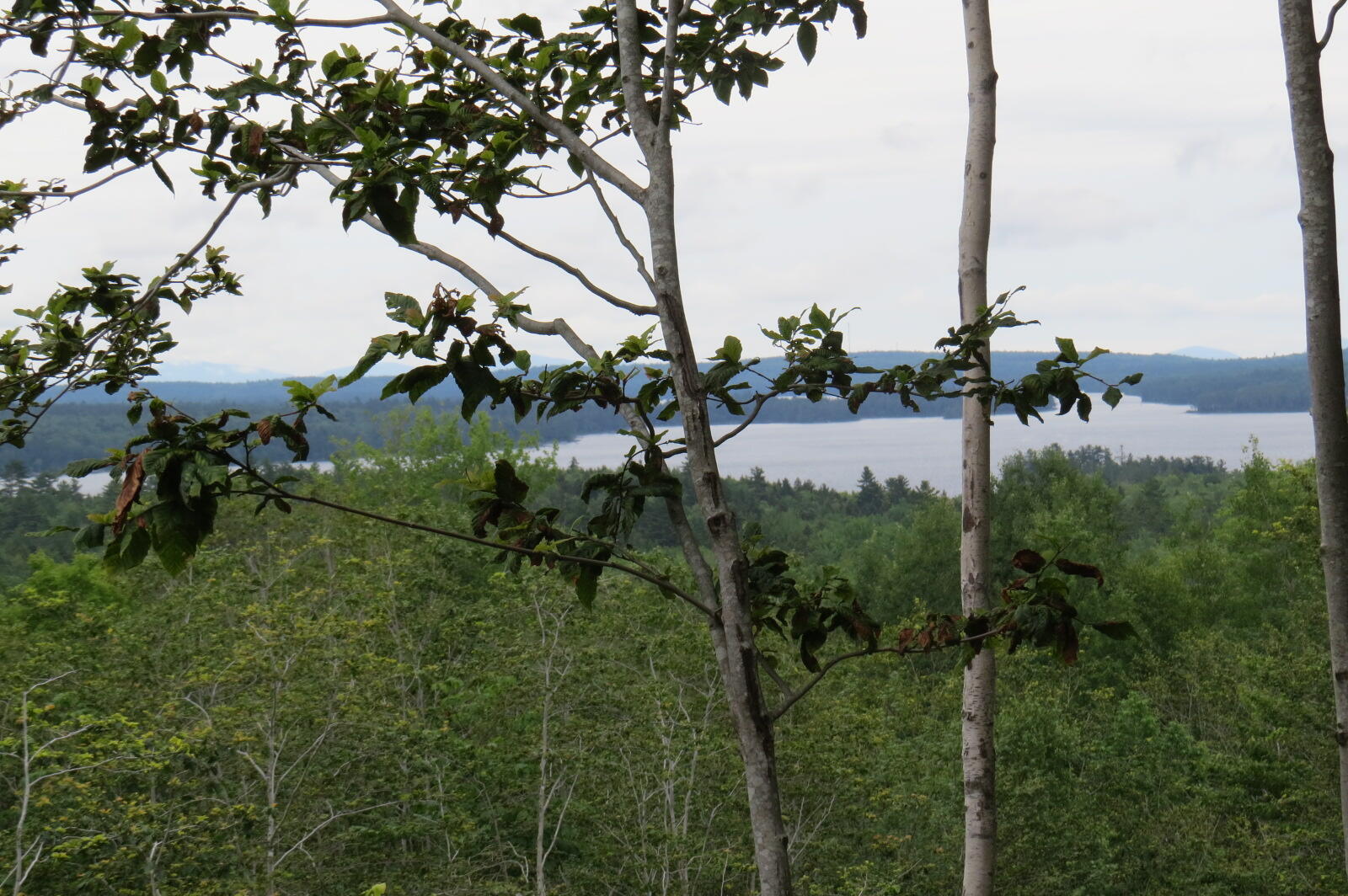 14 Old County Way Ellsworth ME 04605