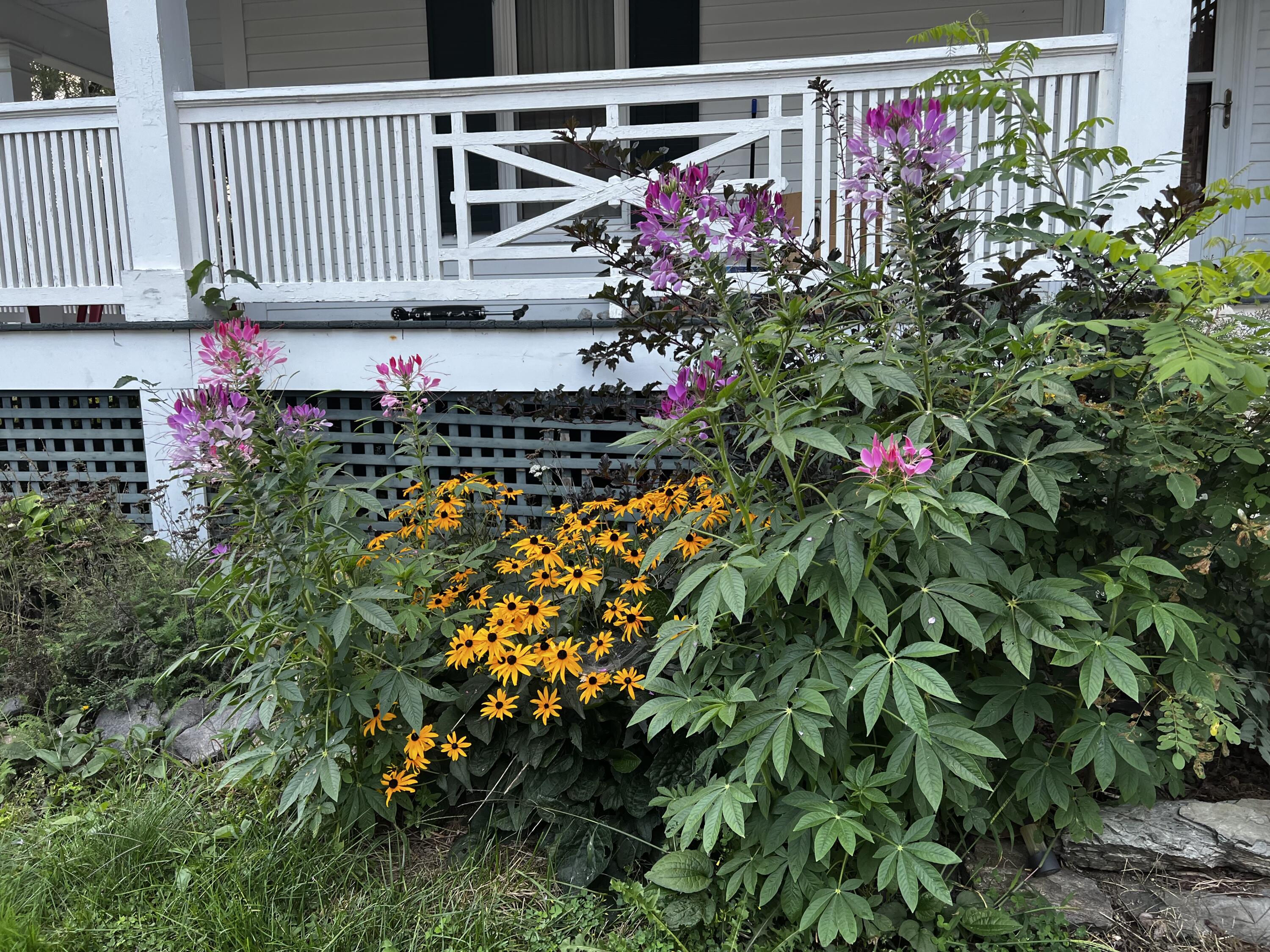 15 North Street Dixfield ME 04224