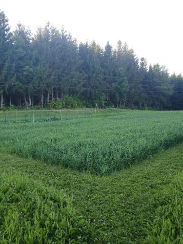 265 Framingham Road Littleton ME 04730