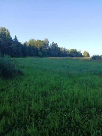 265 Framingham Road Littleton ME 04730