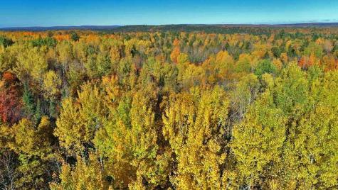 479 Harris Hill Road Weston ME 04424