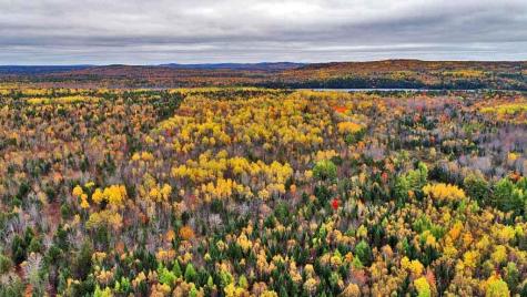 479 Harris Hill Road Weston ME 04424
