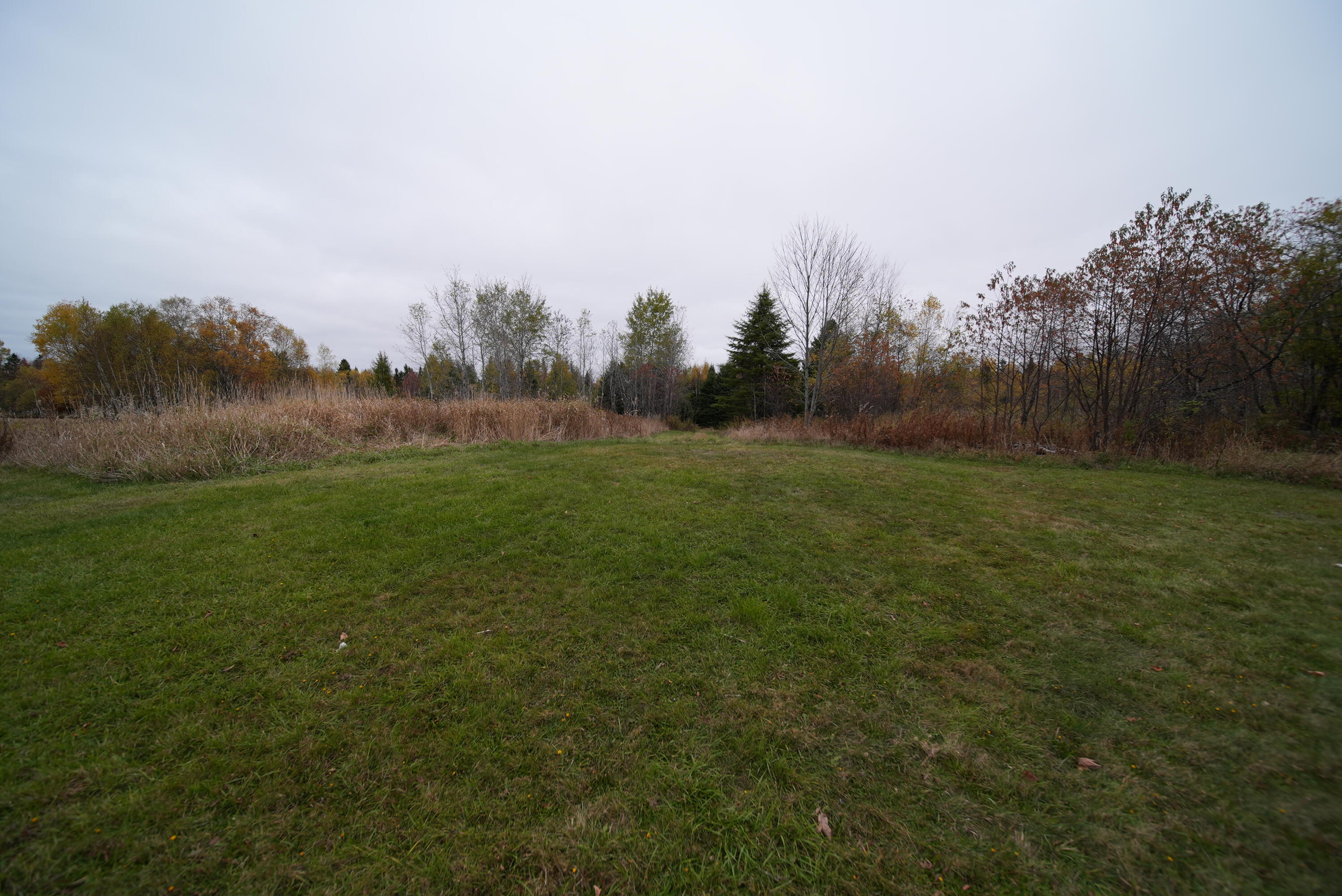 479 Harris Hill Road Weston ME 04424