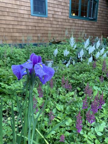 1026 Essex Street Bangor ME 04401