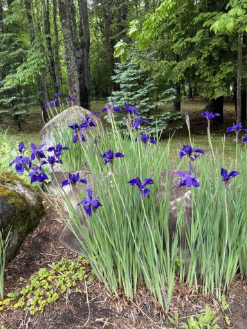 1026 Essex Street Bangor ME 04401