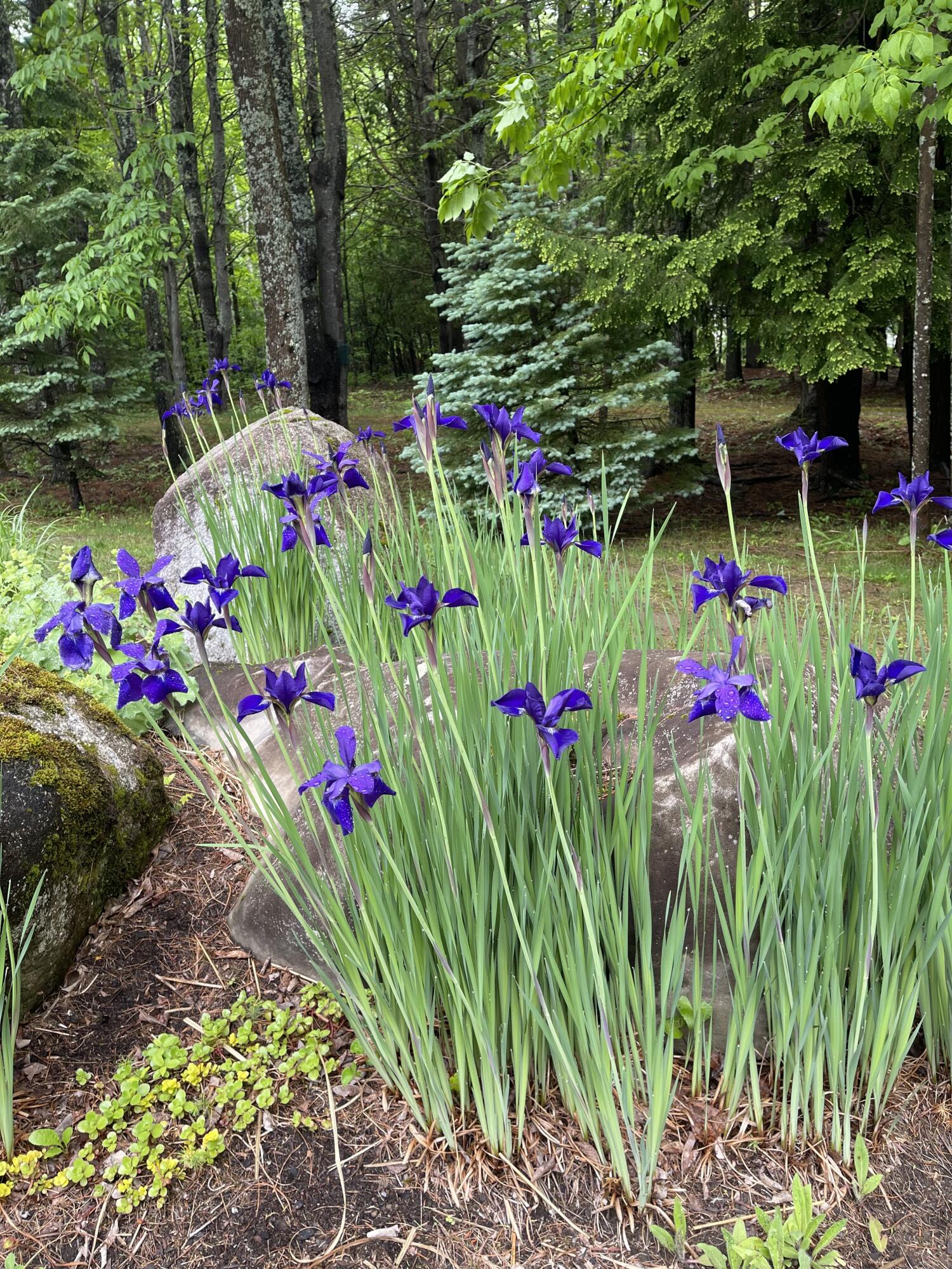 1026 Essex Street Bangor ME 04401