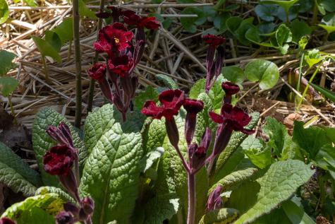 12 Baker's Point Steuben ME 04680