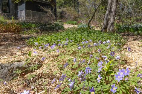 12 Baker's Point Steuben ME 04680