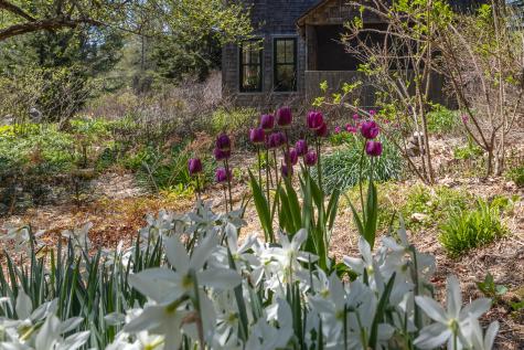 12 Baker's Point Steuben ME 04680