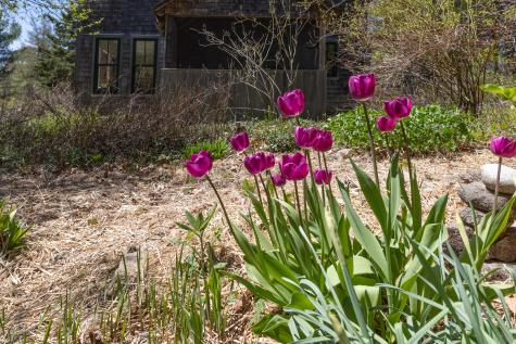 12 Baker's Point Steuben ME 04680