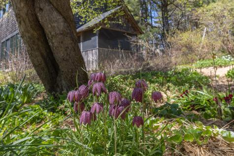 12 Baker's Point Steuben ME 04680