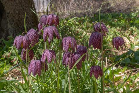 12 Baker's Point Steuben ME 04680