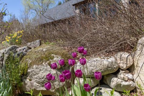 12 Baker's Point Steuben ME 04680