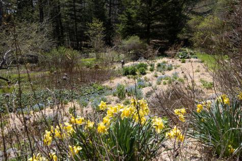 12 Baker's Point Steuben ME 04680