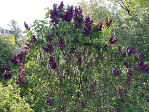 12 Baker's Point Steuben ME 04680