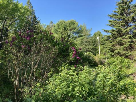 12 Baker's Point Steuben ME 04680