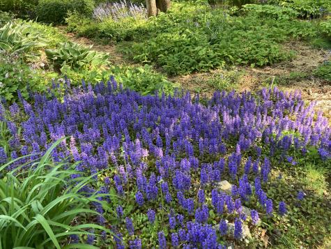 12 Baker's Point Steuben ME 04680