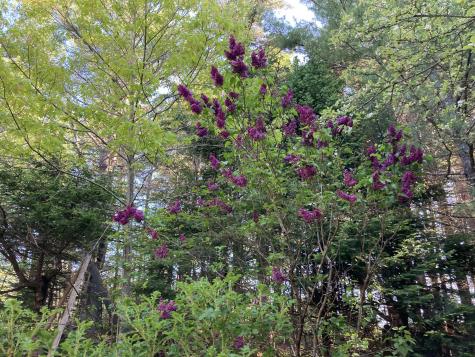 12 Baker's Point Steuben ME 04680