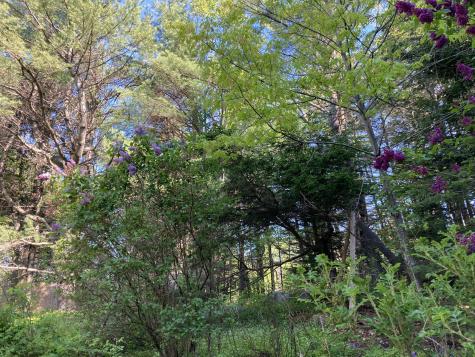 12 Baker's Point Steuben ME 04680