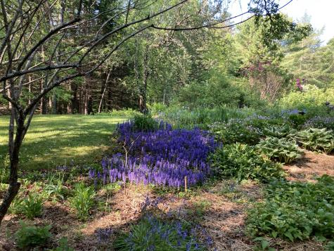 12 Baker's Point Steuben ME 04680