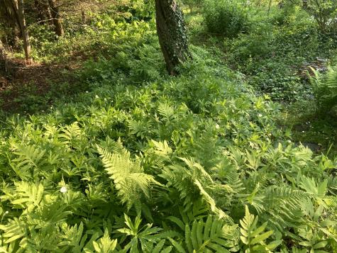 12 Baker's Point Steuben ME 04680