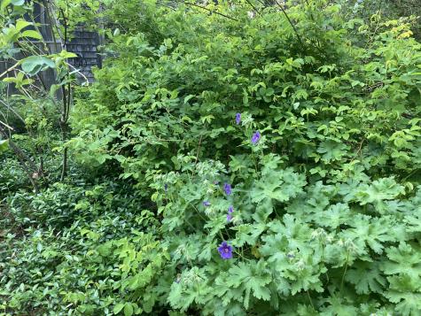 12 Baker's Point Steuben ME 04680