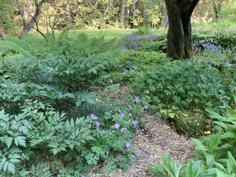 12 Baker's Point Steuben ME 04680