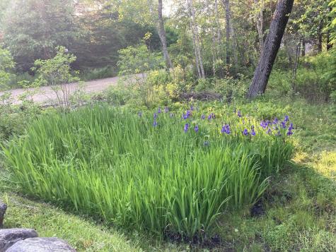 12 Baker's Point Steuben ME 04680