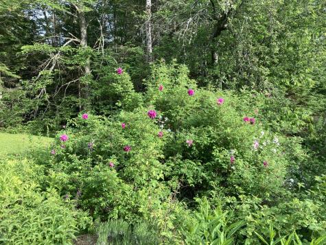 12 Baker's Point Steuben ME 04680