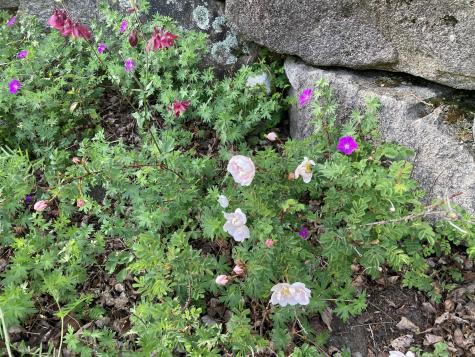 12 Baker's Point Steuben ME 04680