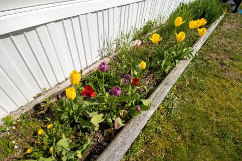 307 Hog Bay Road Franklin ME 04634