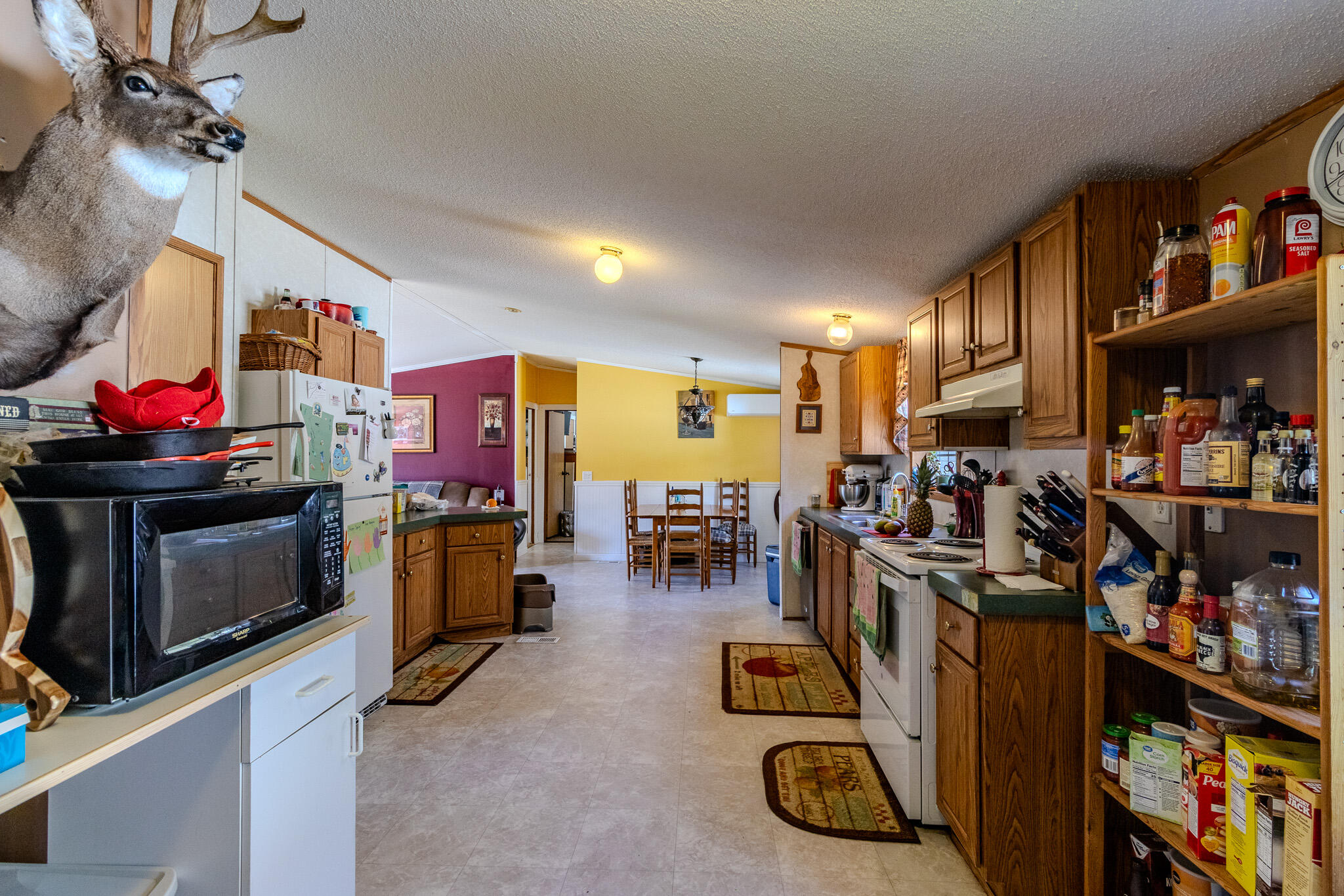 307 Hog Bay Road Franklin ME 04634