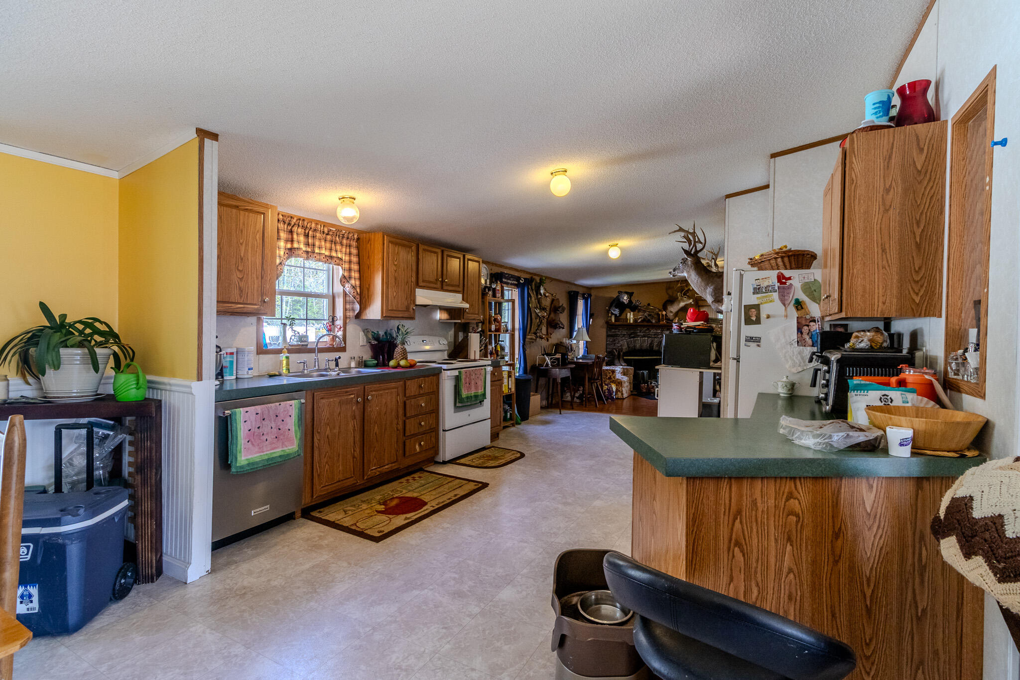 307 Hog Bay Road Franklin ME 04634