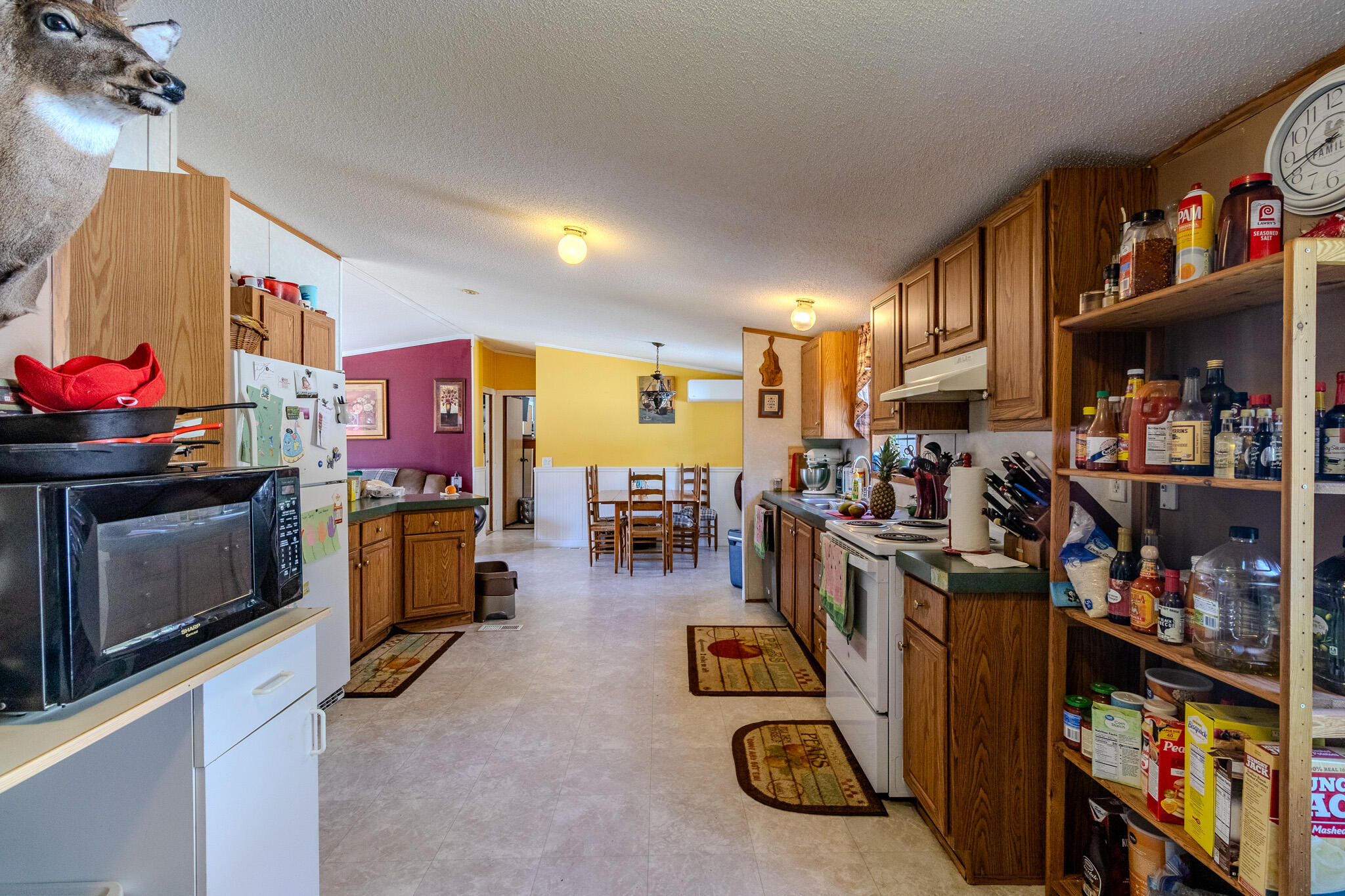 307 Hog Bay Road Franklin ME 04634