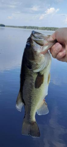 2 And 3 Blue Heron Lane Winslow ME 04901