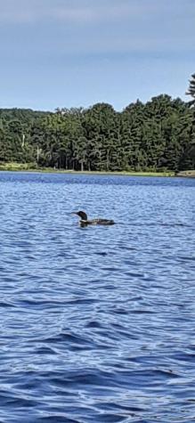 2 And 3 Blue Heron Lane Winslow ME 04901