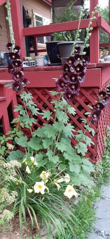 2 And 3 Blue Heron Lane Winslow ME 04901