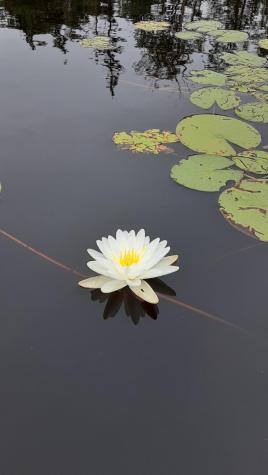 2 And 3 Blue Heron Lane Winslow ME 04901