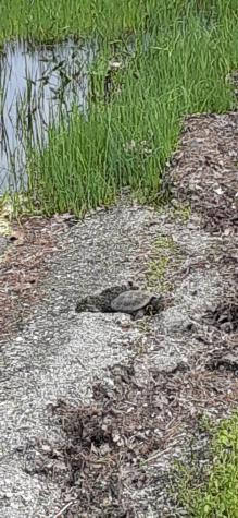 2 And 3 Blue Heron Lane Winslow ME 04901