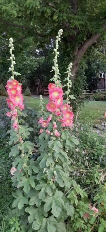 2 And 3 Blue Heron Lane Winslow ME 04901