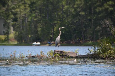 2 And 3 Blue Heron Lane Winslow ME 04901