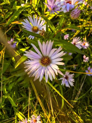 633 Milbridge Road Cherryfield ME 04622