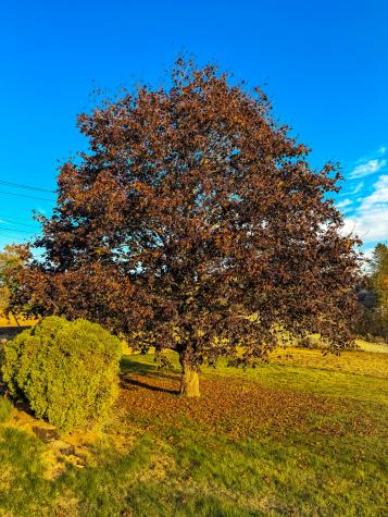 633 Milbridge Road Cherryfield ME 04622