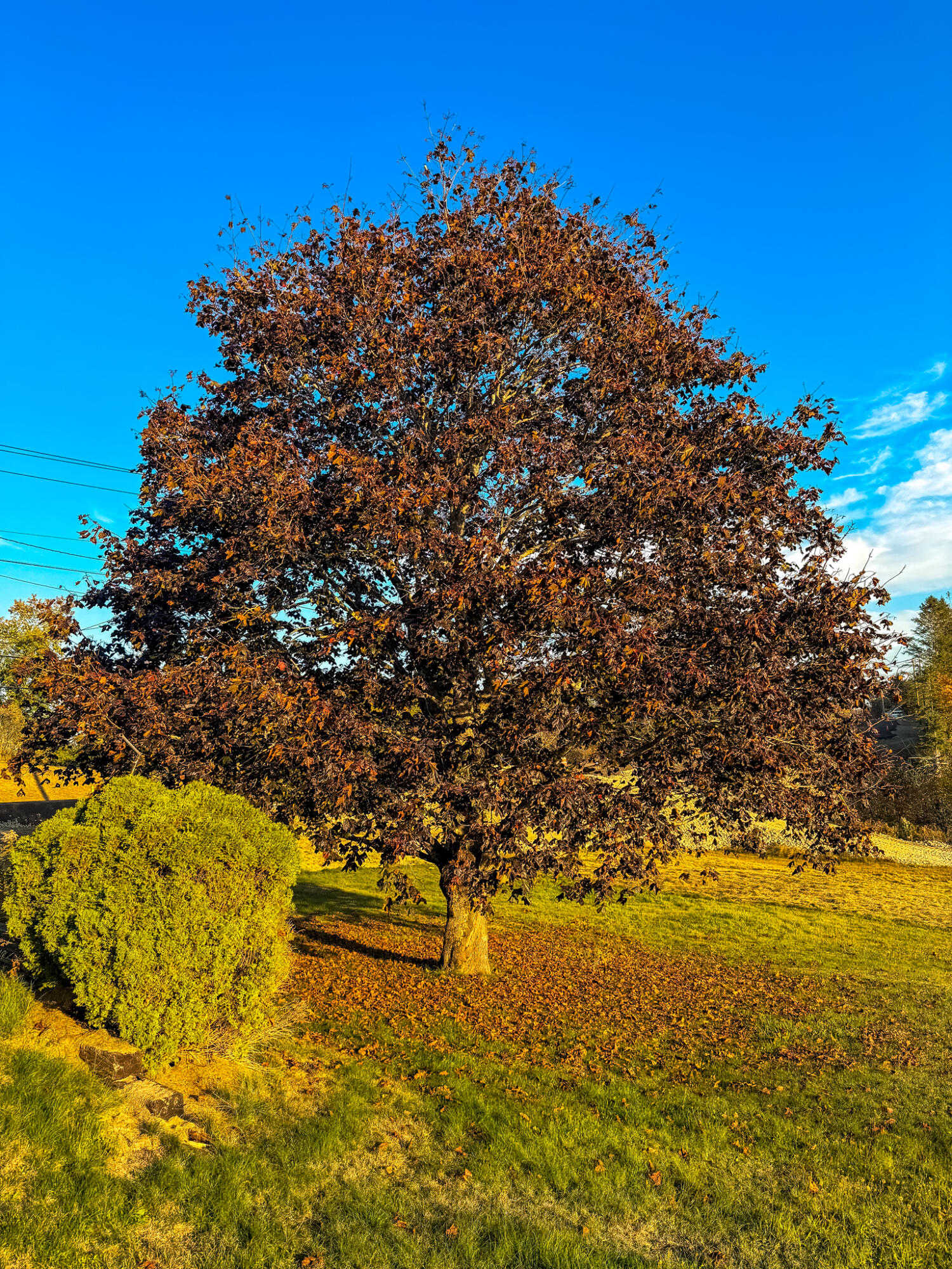 633 Milbridge Road Cherryfield ME 04622