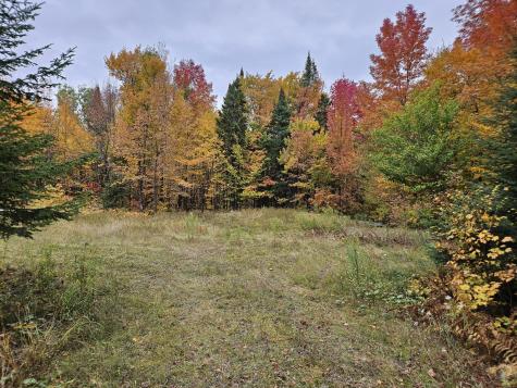 Lot #14 Northern Road Tomhegan Twp ME 04478