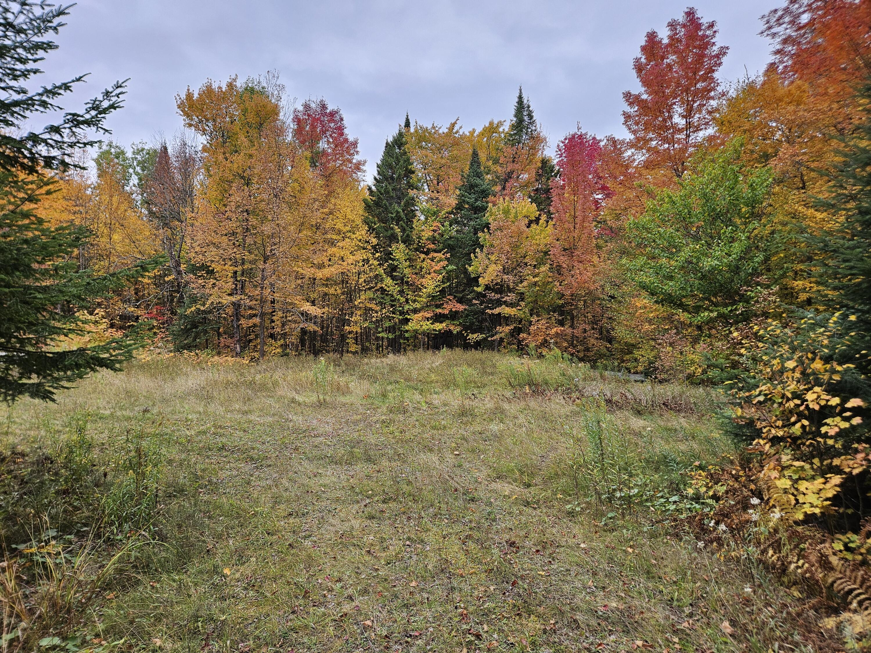 Lot #14 Northern Road Tomhegan Twp ME 04478