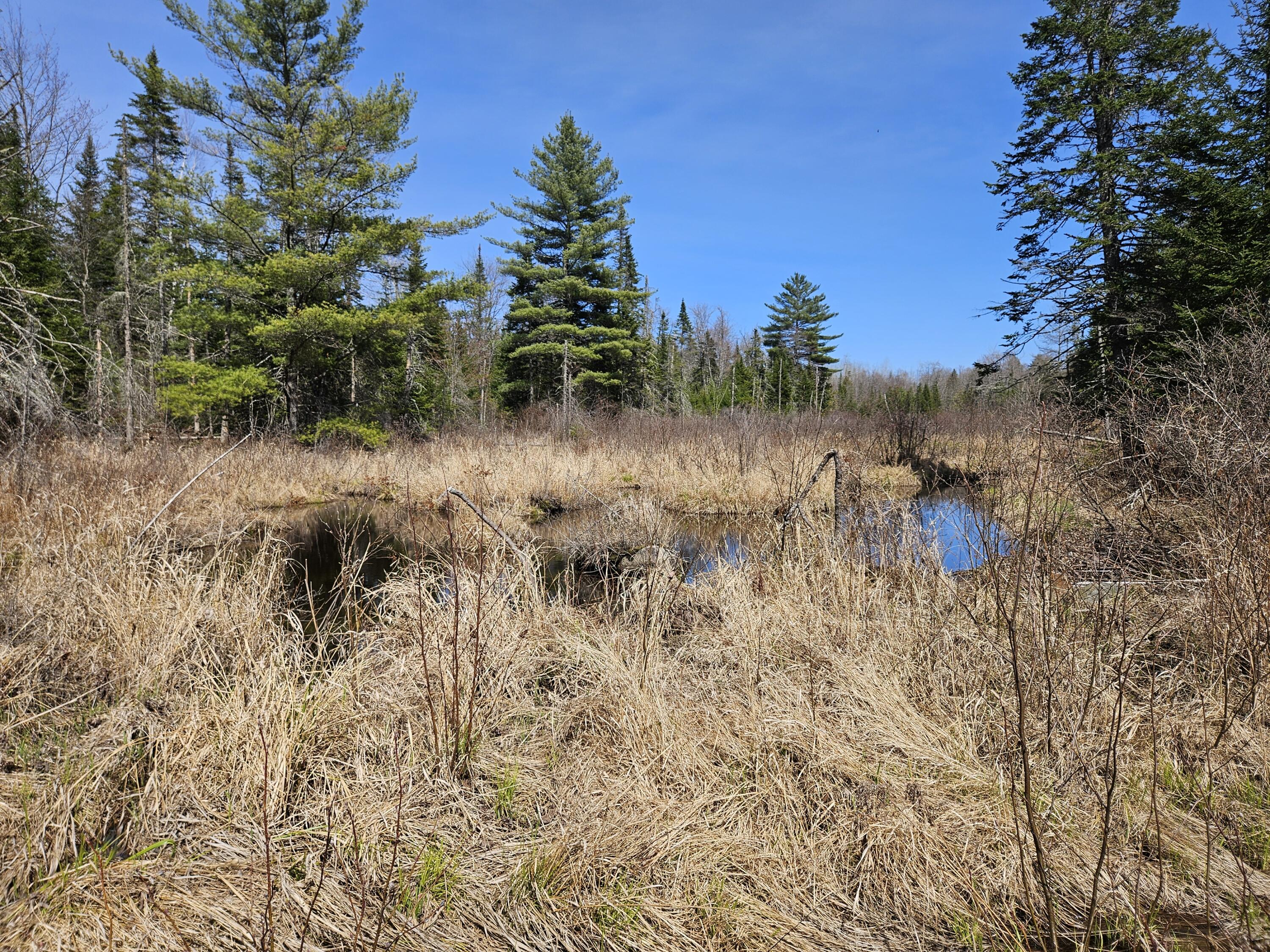 469 Norton Hill Road Strong ME 04983