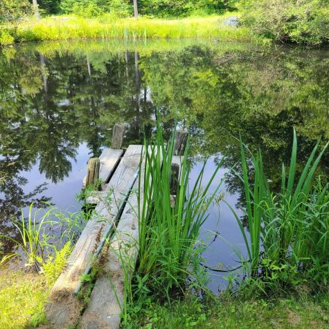 274 Averill Hill Road Dixfield ME 04224