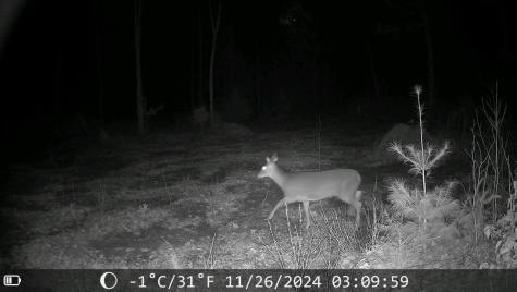 92 Trout Brook Road Road Mariaville ME 04605