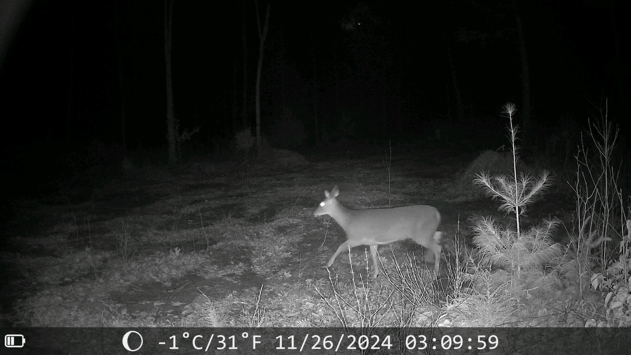 92 Trout Brook Road Road Mariaville ME 04605